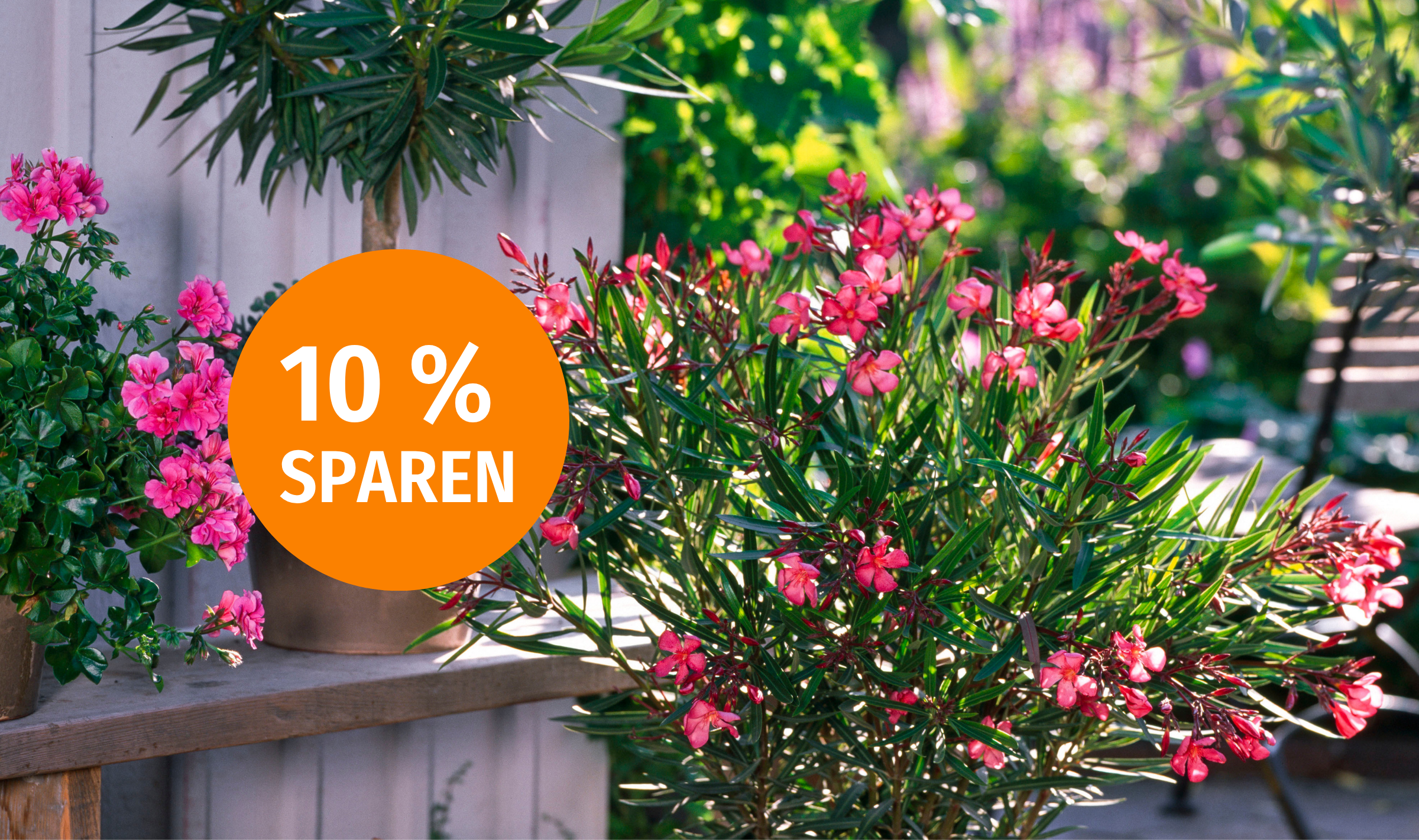 Alles für den Sommerbalkon