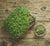 Microgreens