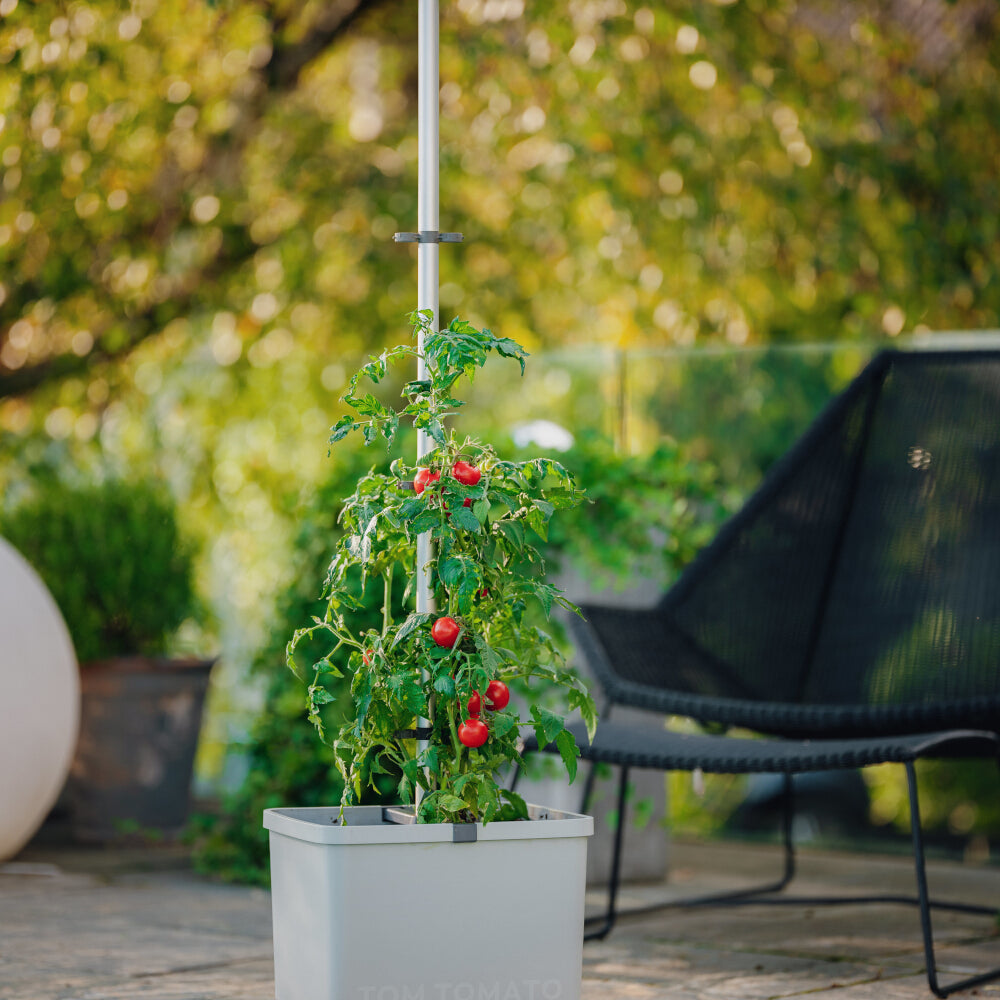 Gartenhelfer bei Hitze und Trockenheit