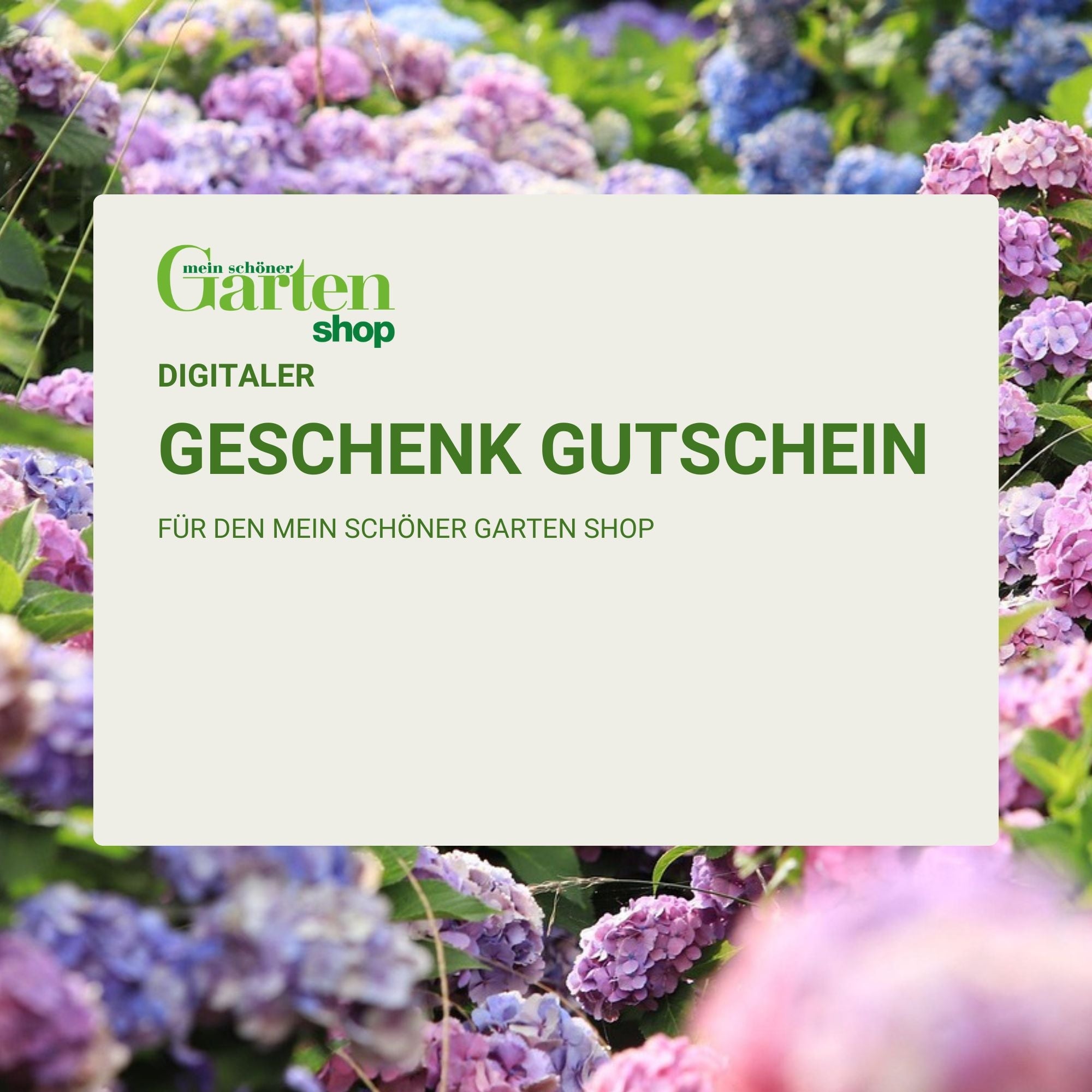 Gutscheine