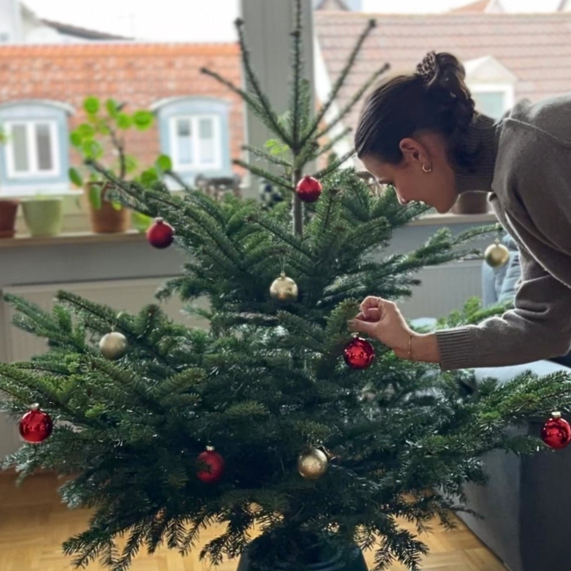Adventskränze und Weihnachtsbäume