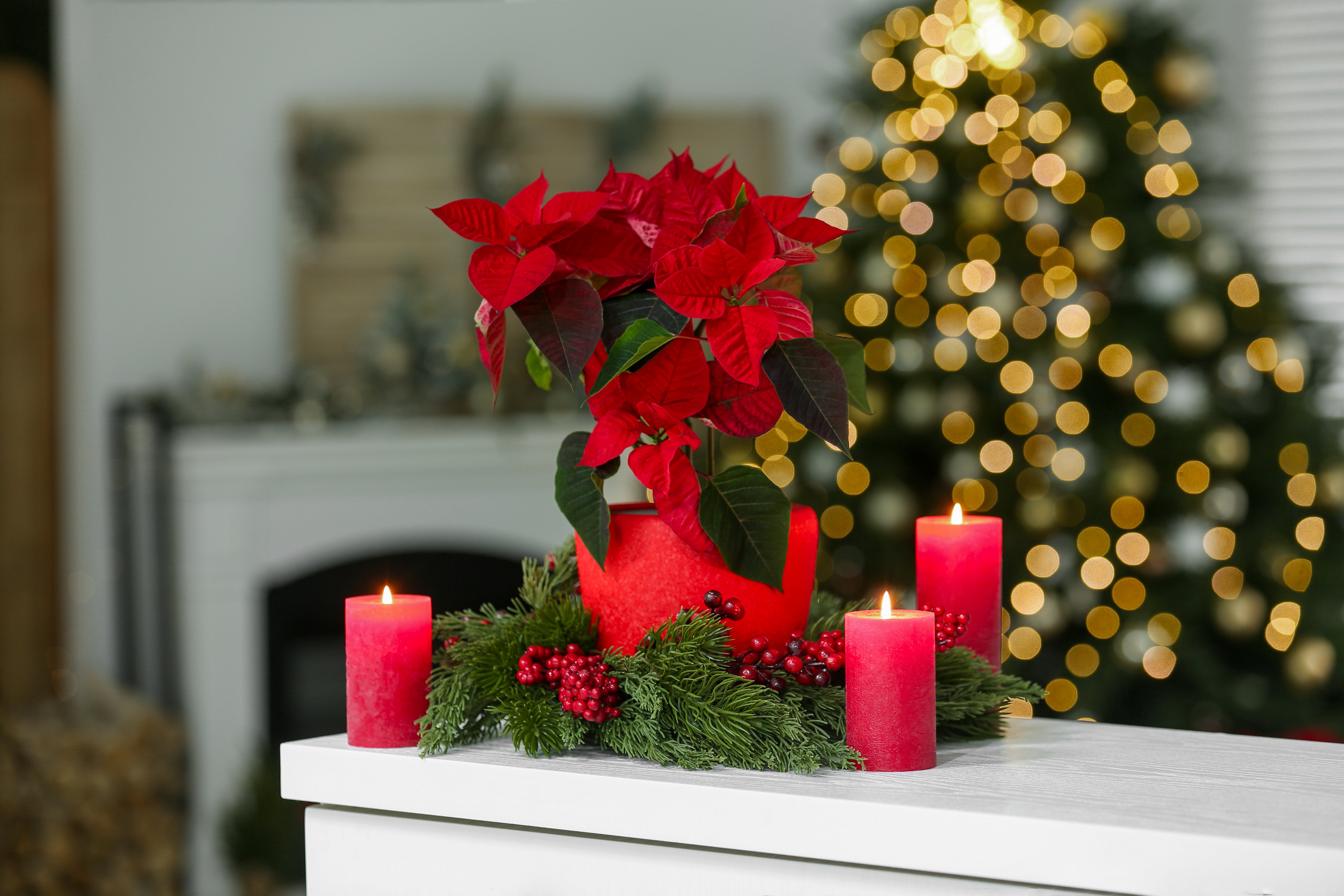 Weihnachten