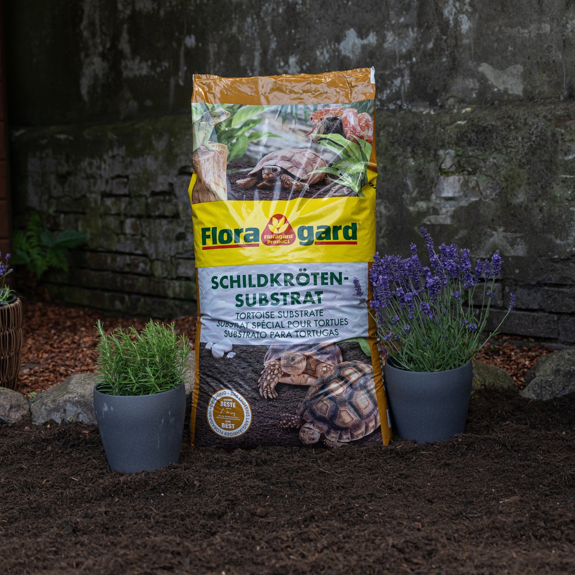 Floragard Schildkrötensubstrat
