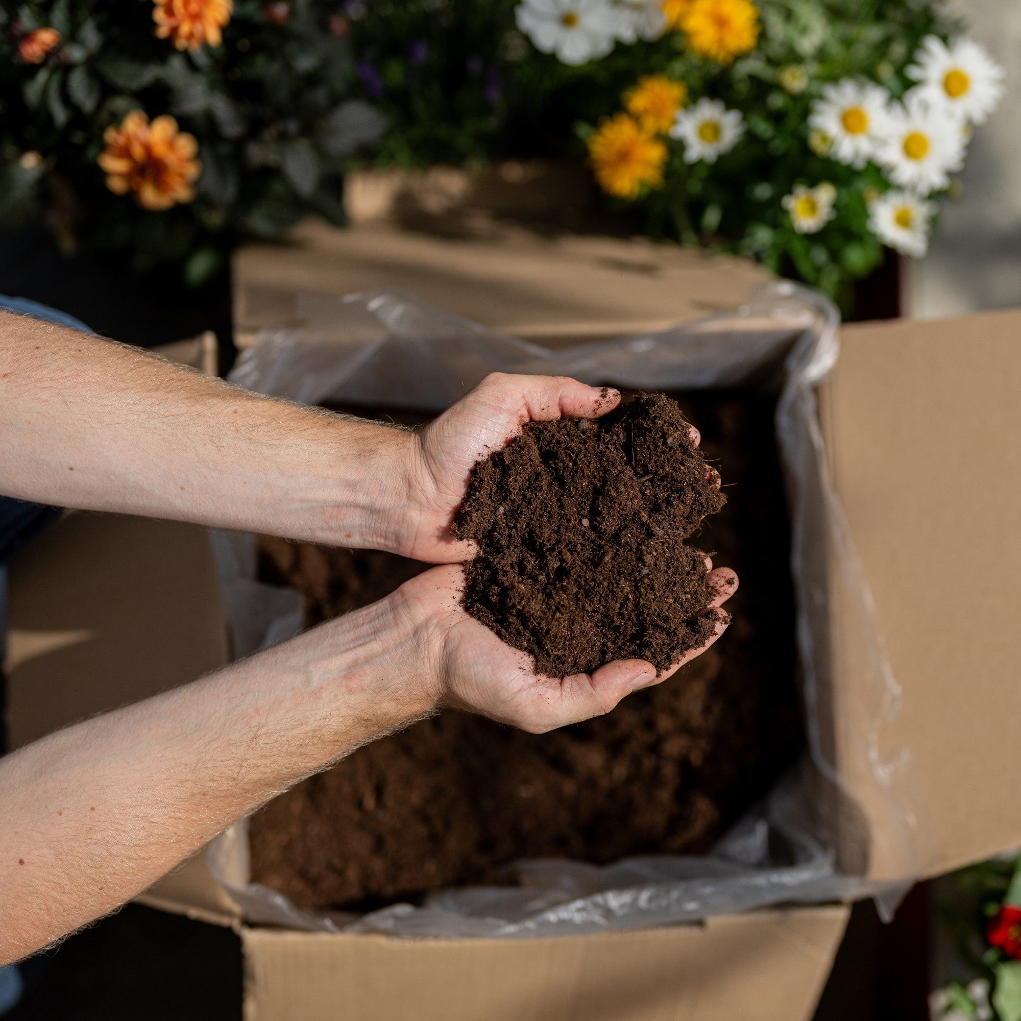 Floragard Bio Hochbeeterde in der Box