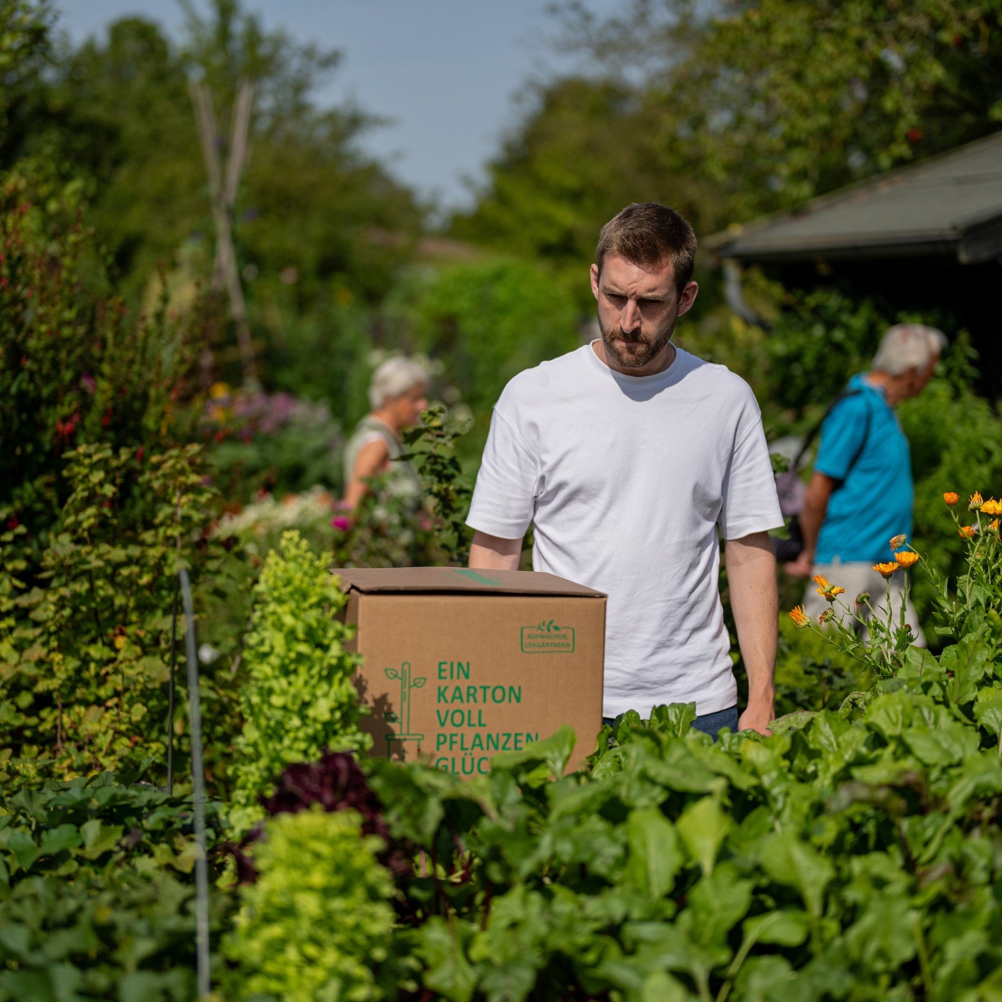 Floragard Bio Hochbeeterde in der Box