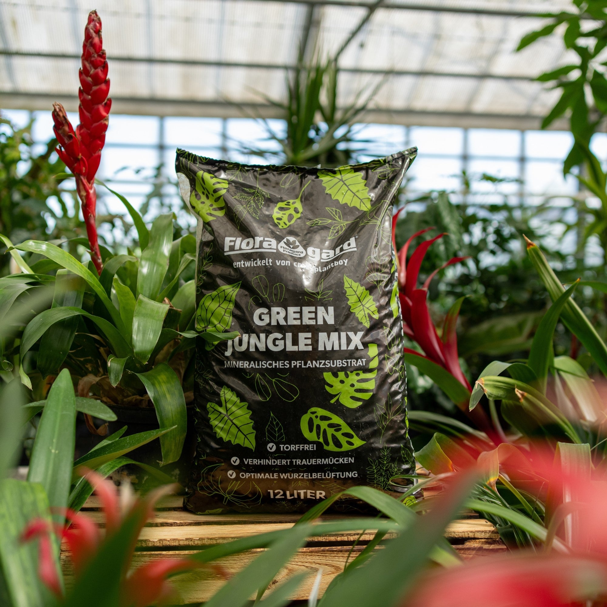 Floragard Pflanzensubstrat 'Green Jungle Mix'