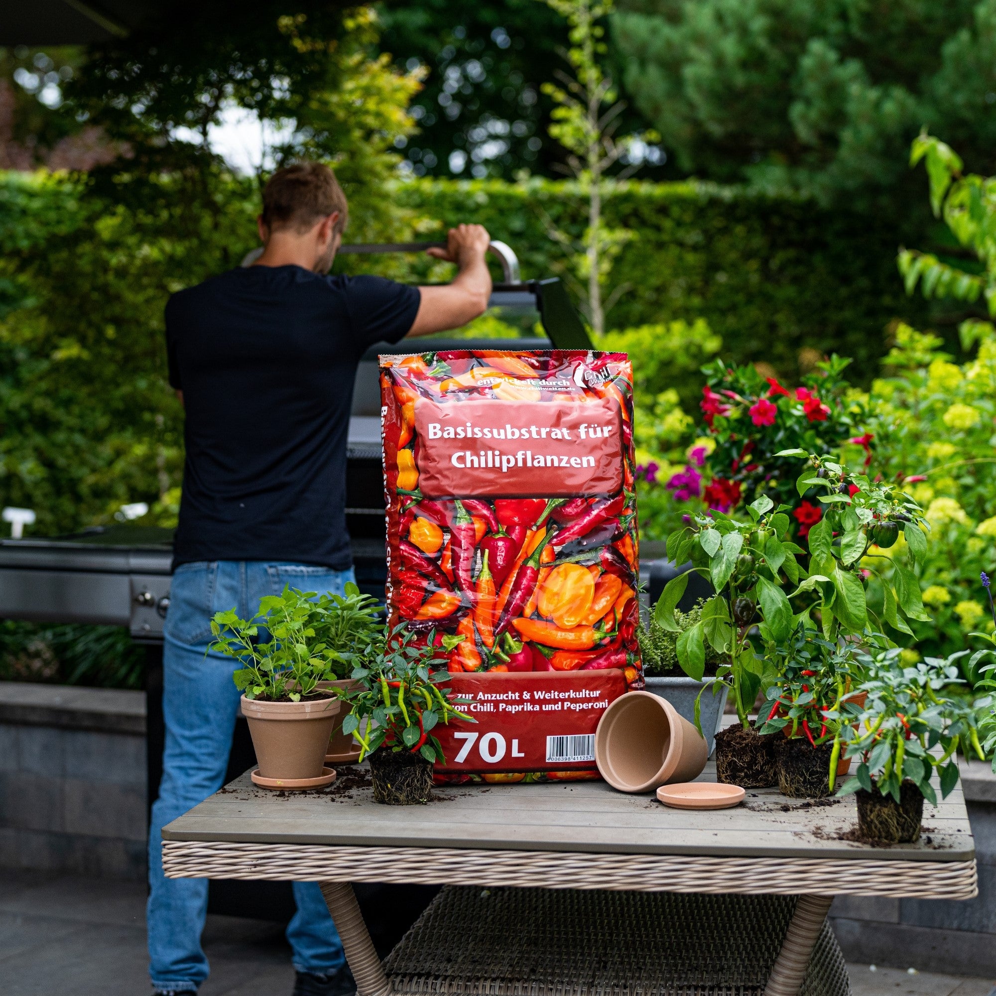 Floragard Universal Chili-Substrat