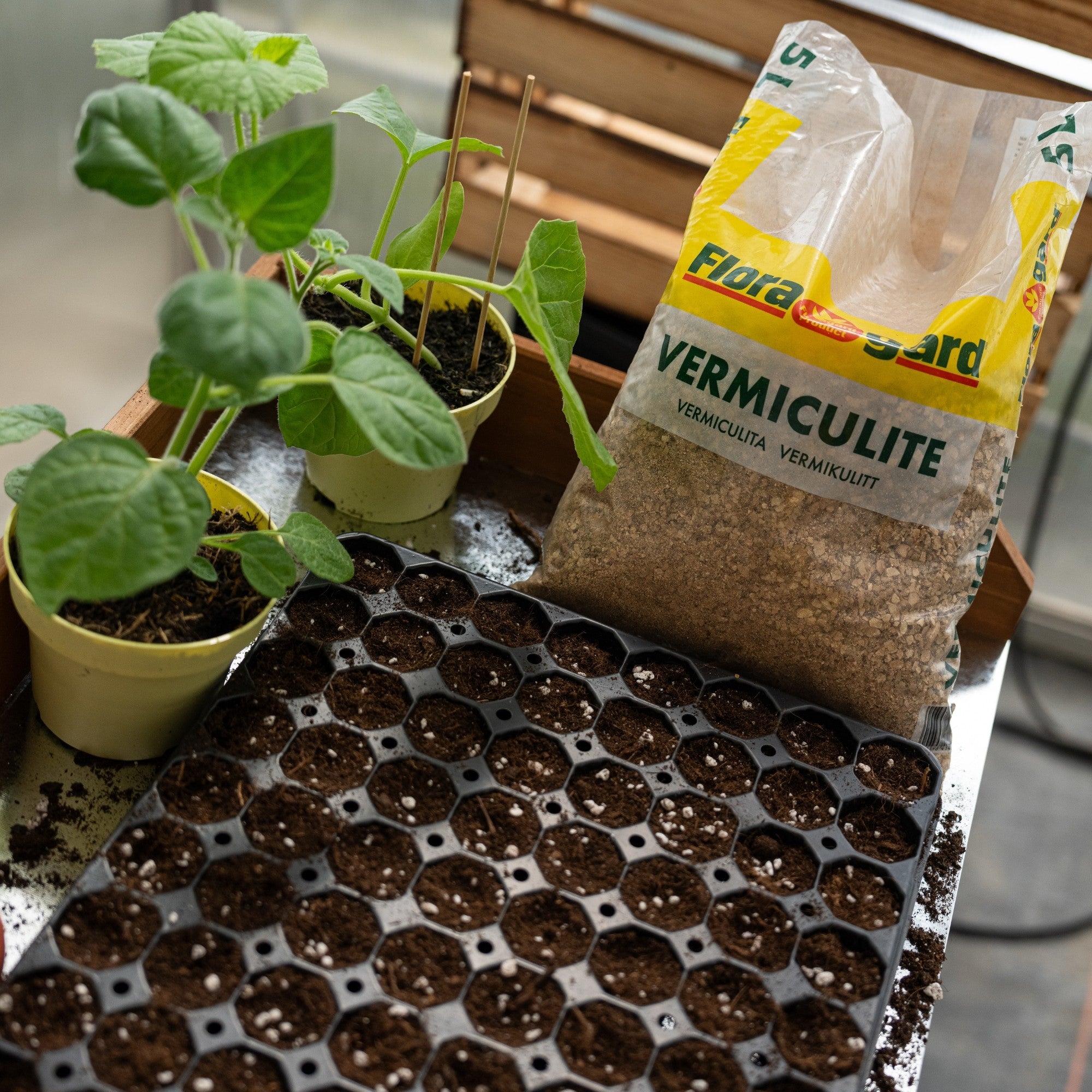 Floragard Vermiculite