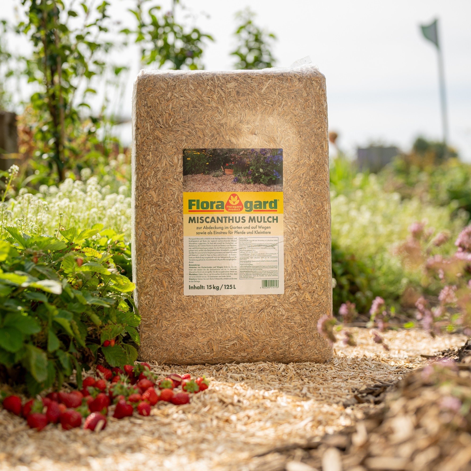 Floragard Miscanthus Mulchballen
