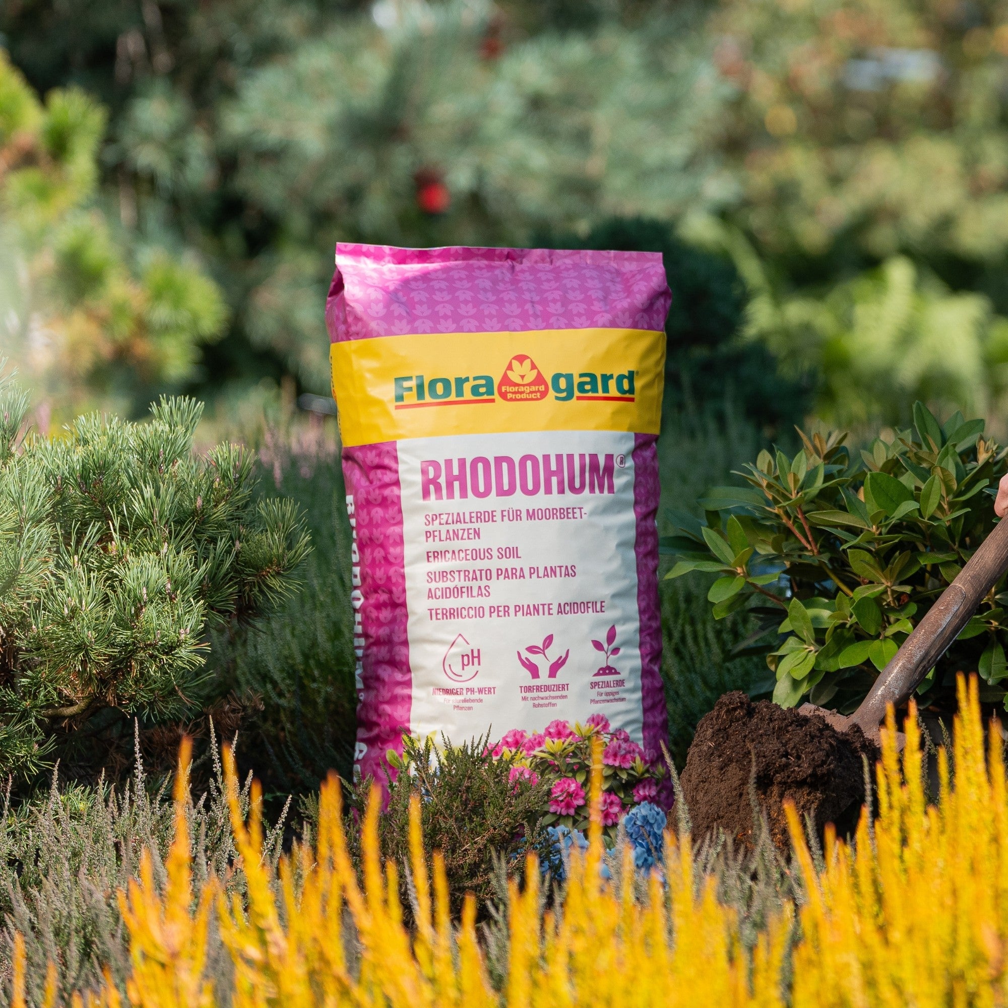 Floragard Rhodohum