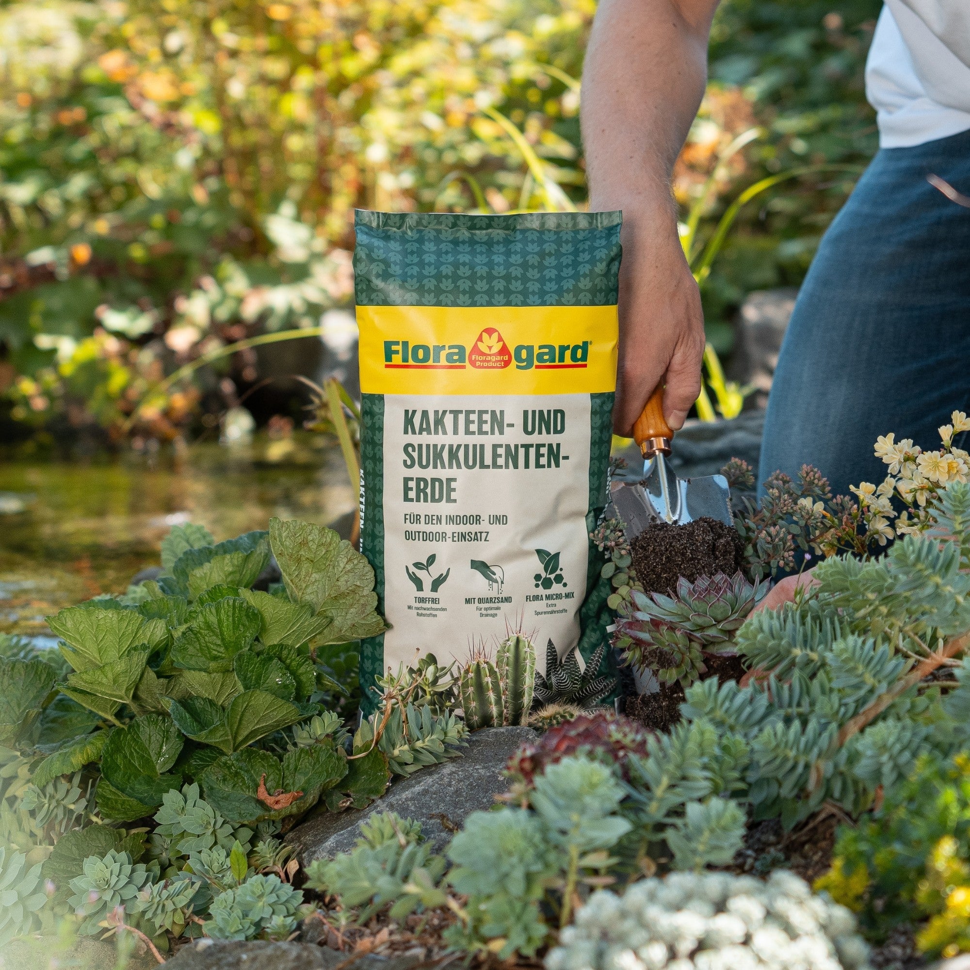 Floragard Kakteen- und Sukkulentenerde