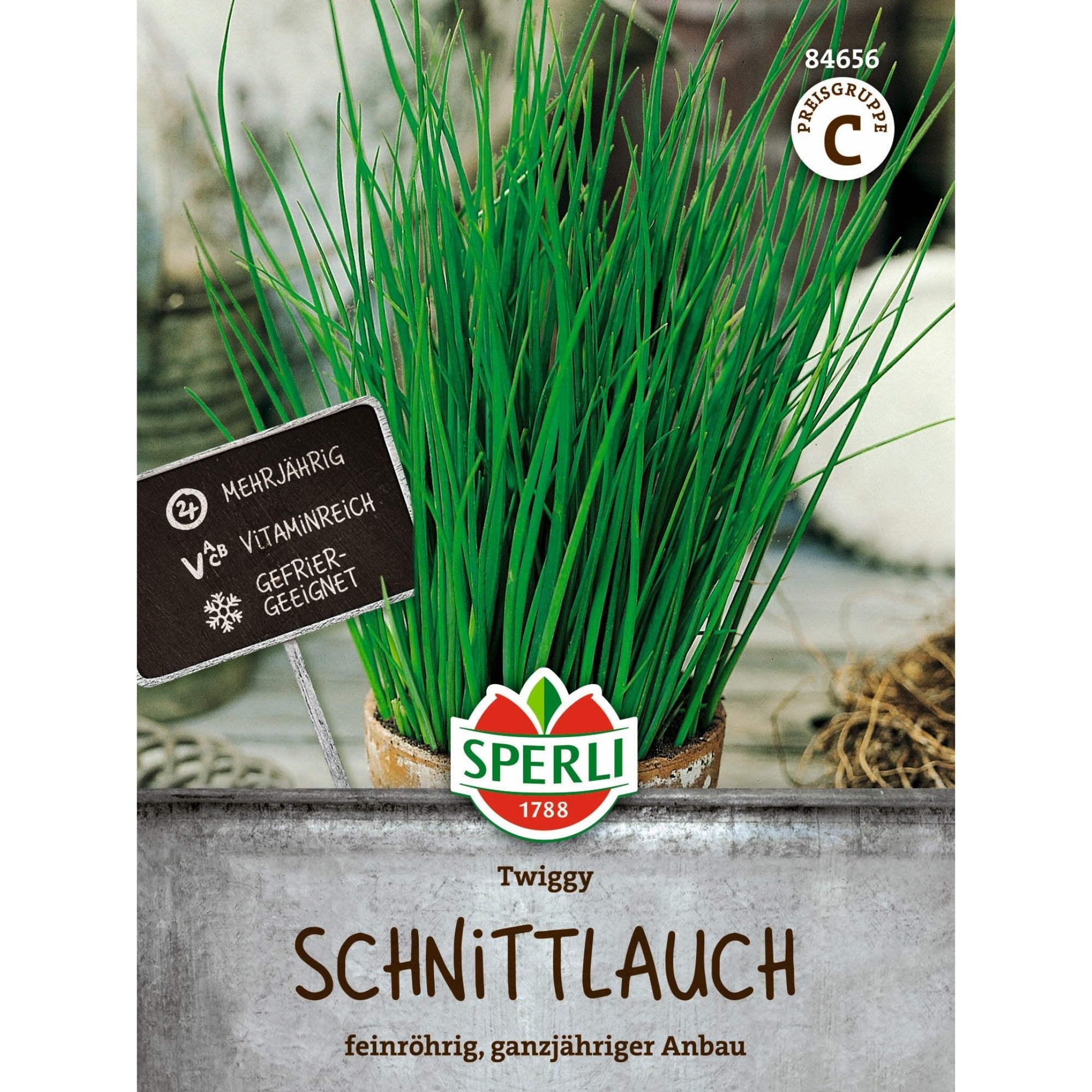 SPERLI Schnittlauch-Samen 'Twiggy'