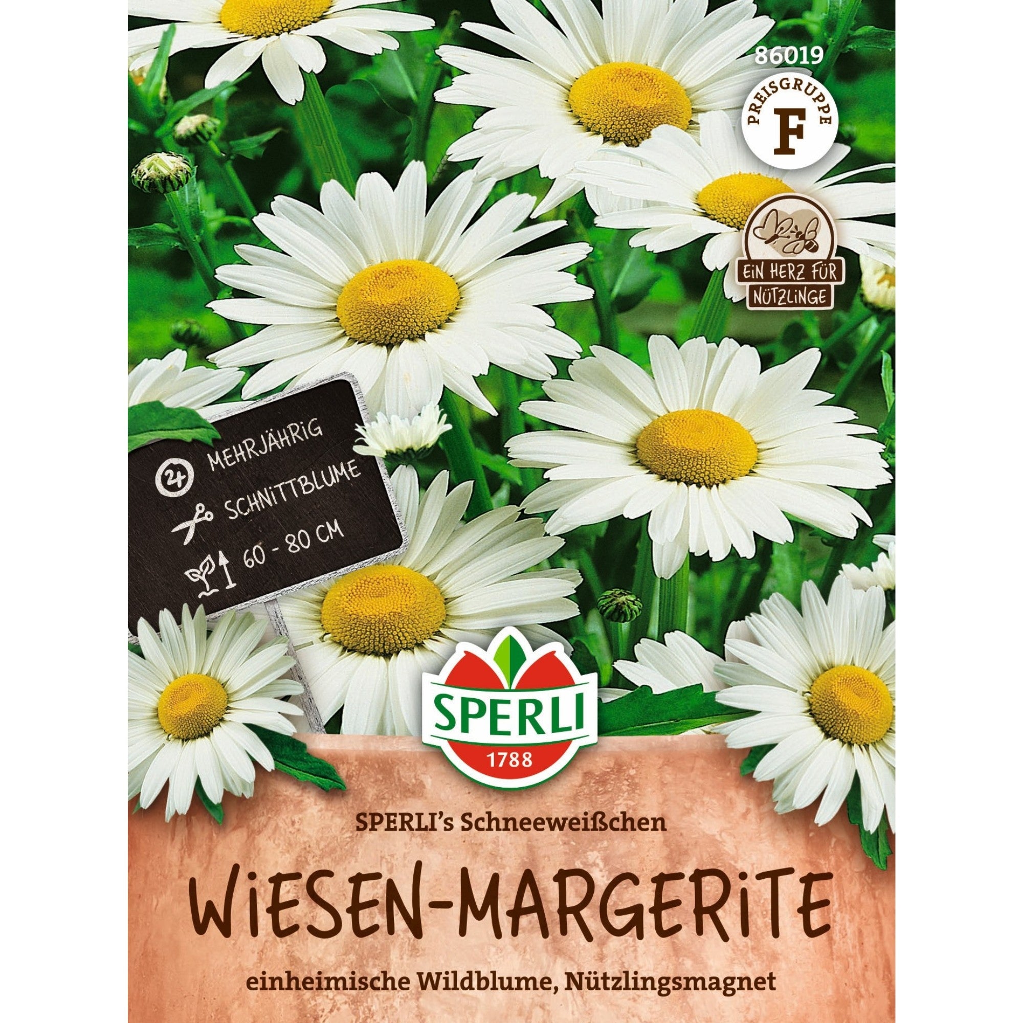 SPERLI Wiesen-Margeriten-Samen 'Schneeweißchen'