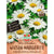 SPERLI Wiesen-Margeriten-Samen 'Schneeweißchen'