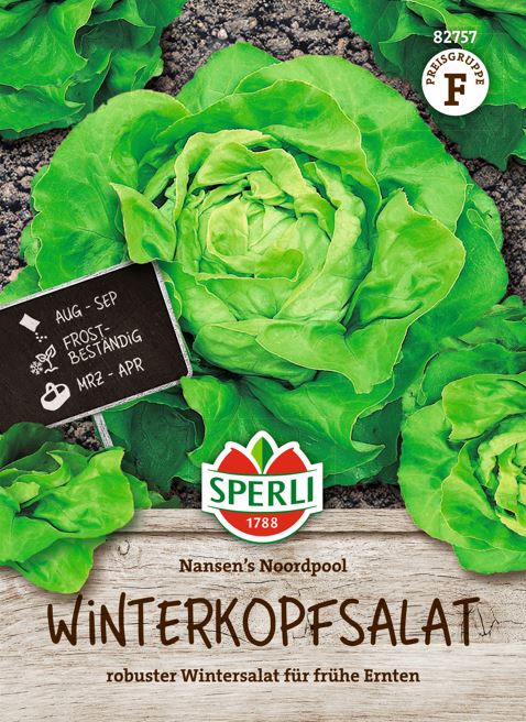 SPERLI Winterkopfsalat-Samen 'Nansen's Noordpool'