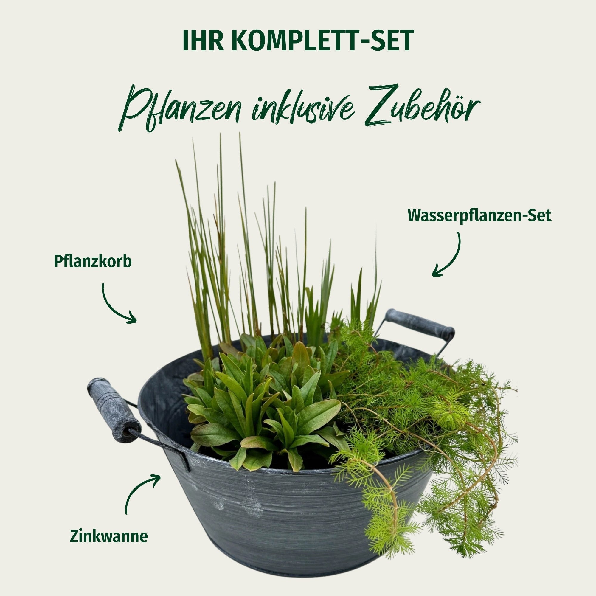 Miniteich mit Zinkwanne