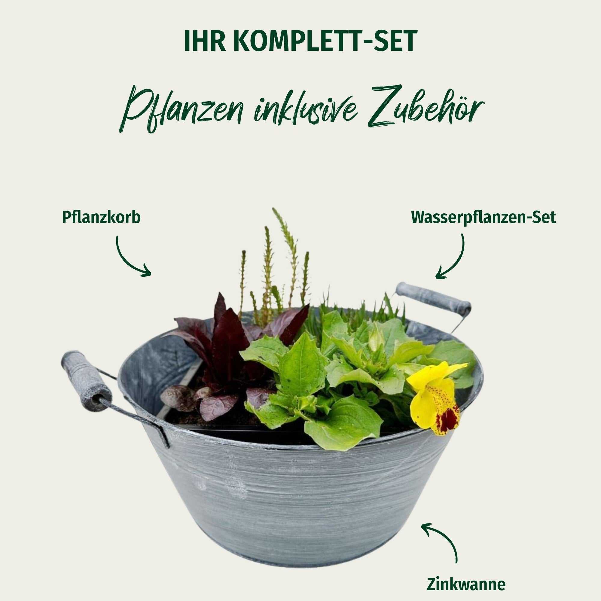 Miniteich mit Zinkwanne "Starter Set"