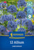 Kiepenkerl Zierlauch 'Caeruleum'