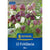 Kiepenkerl Schachbrettblume Mischung