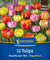 Kiepenkerl Gefüllte späte Tulpen "Roseflower Mix", Mega-Pack