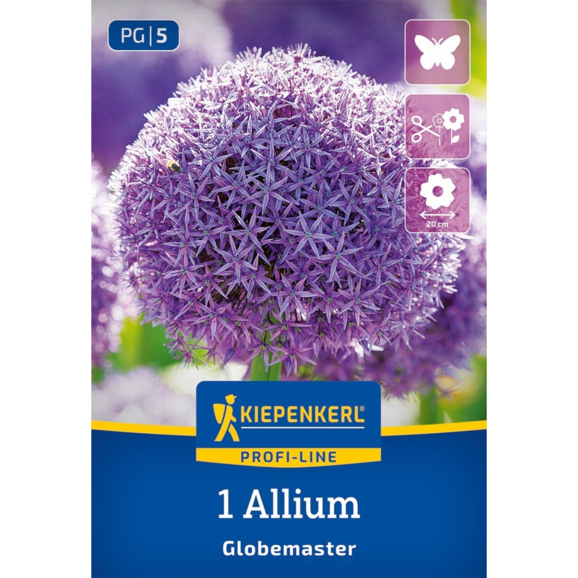 Kiepenkerl Zierlauch 'Globemaster', Profi-Line