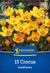 Kiepenkerl Botanischer Krokus 'Goldilocks'