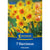 Kiepenkerl Narzisse 'Falconet'