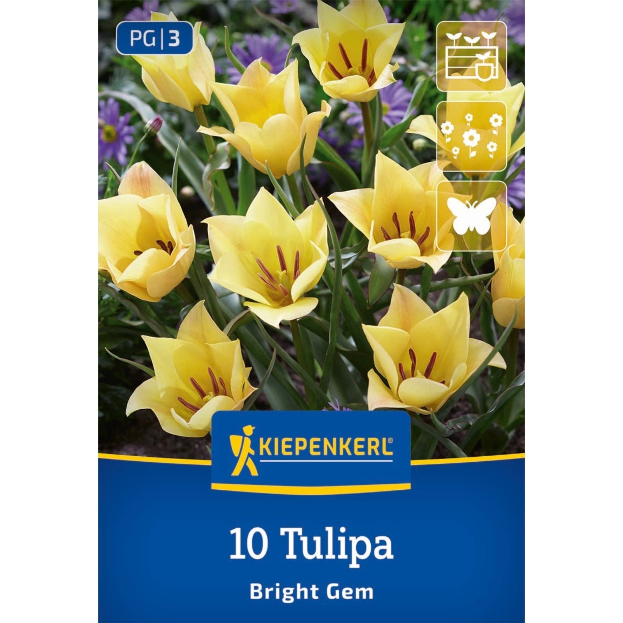 Kiepenkerl Wildtulpe 'Bright Gem'