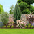 Pflanzen-Set "Mediterraner Garten"