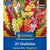 Kiepenkerl Gladiolen "Camara Mix", Mega-Pack