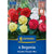 Kiepenkerl Knollenbegonie "Gefüllte Mischung"