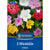 Kiepenkerl Wunderblume