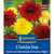 Kiepenkerl Dahlien Duo