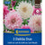 Kiepenkerl Dahlien Duo
