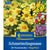 Kiepenkerl Blumenzwiebelmischung "Schmetterlings-Oase", Mega-Pack
