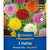 Kiepenkerl Pompon-Dahlien Mischung, Mega-Pack