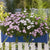 Balkonblumen "Rosa-Weißes Farbspiel"
