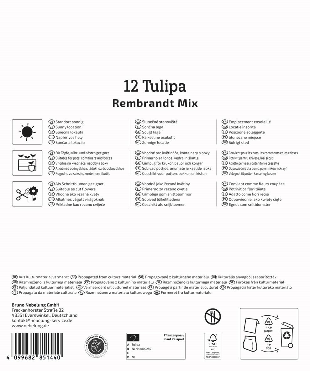 Kiepenkerl Tulpen-Mischung, Mega-Pack