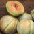 Bio Honigmelone 'Charentais'