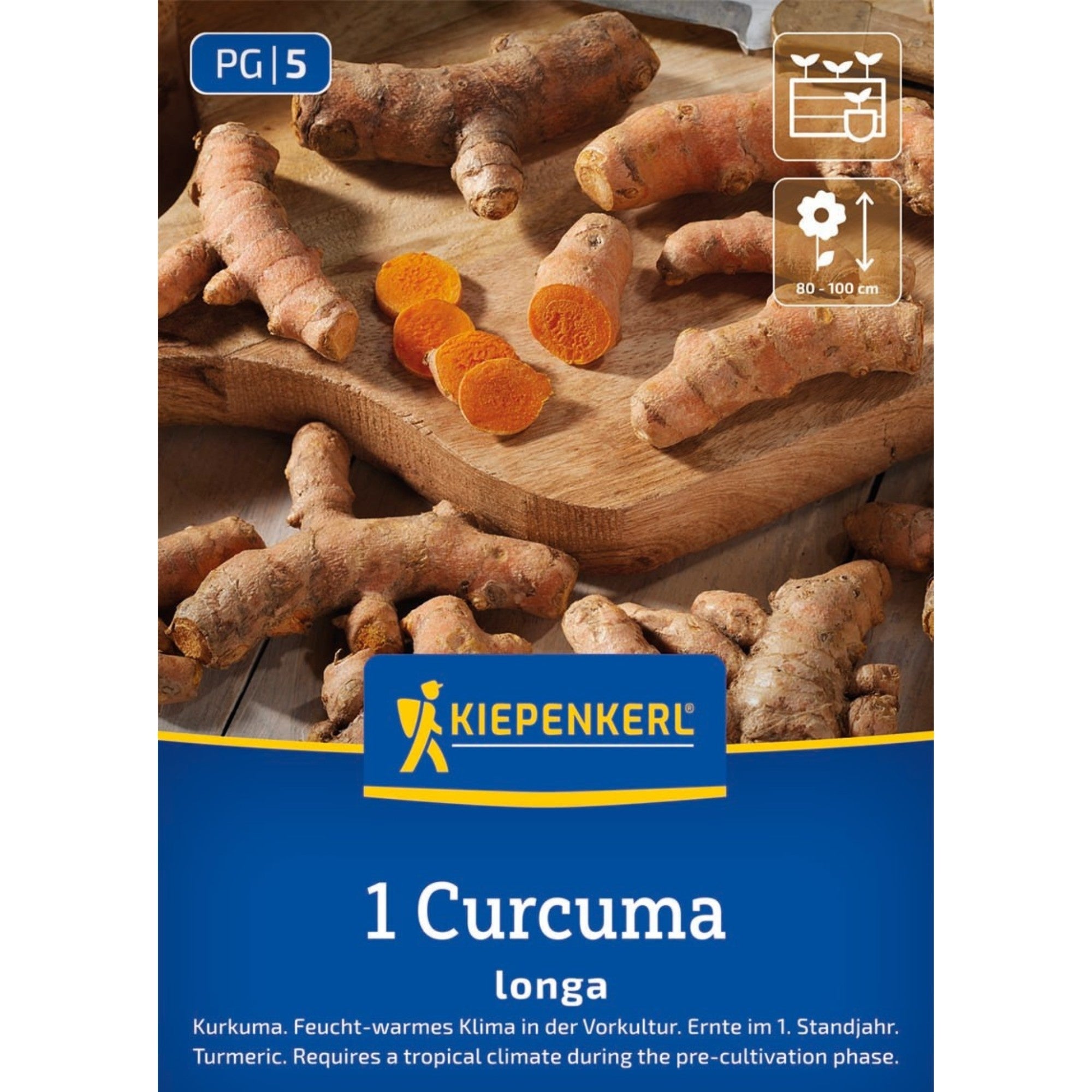 Kiepenkerl Kurkuma-Samen