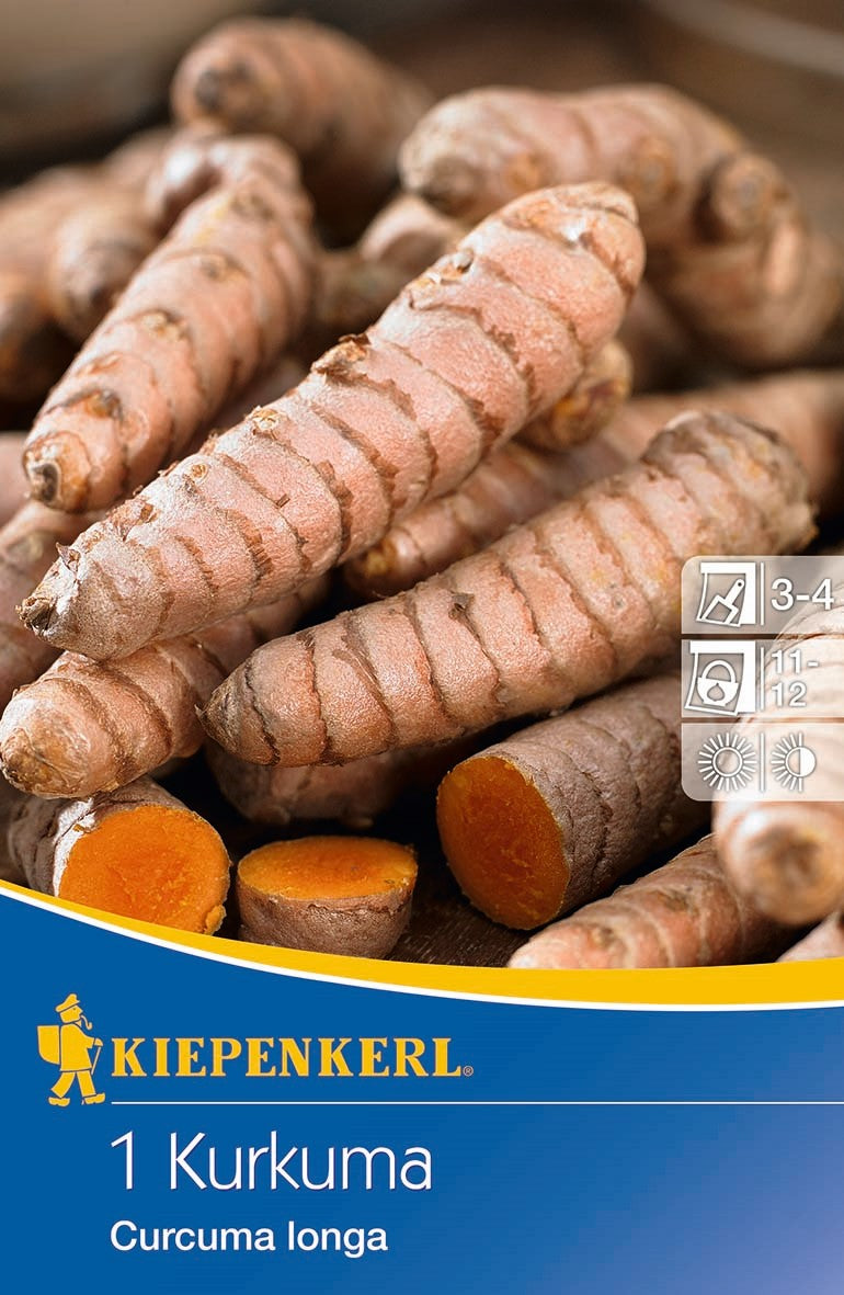 Kiepenkerl Samen-Set "Aromatische Wurzelgewächse"