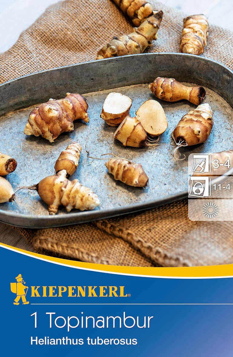 Kiepenkerl Samen-Set "Aromatische Wurzelgewächse"