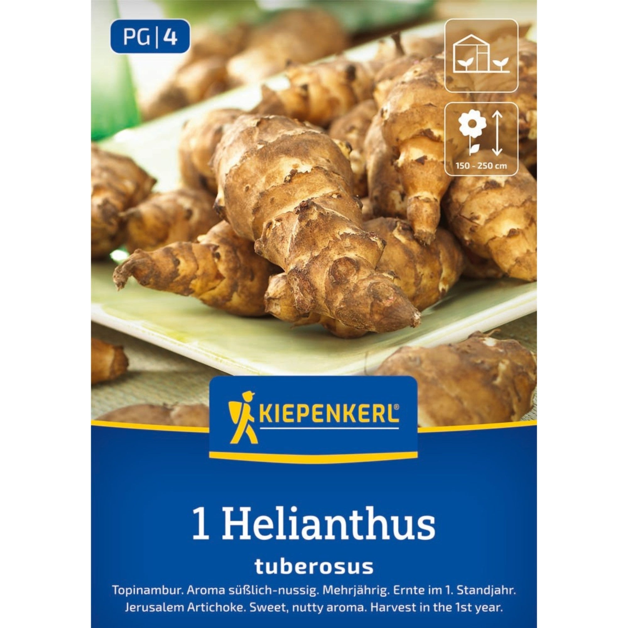 Kiepenkerl Topinambur-Samen