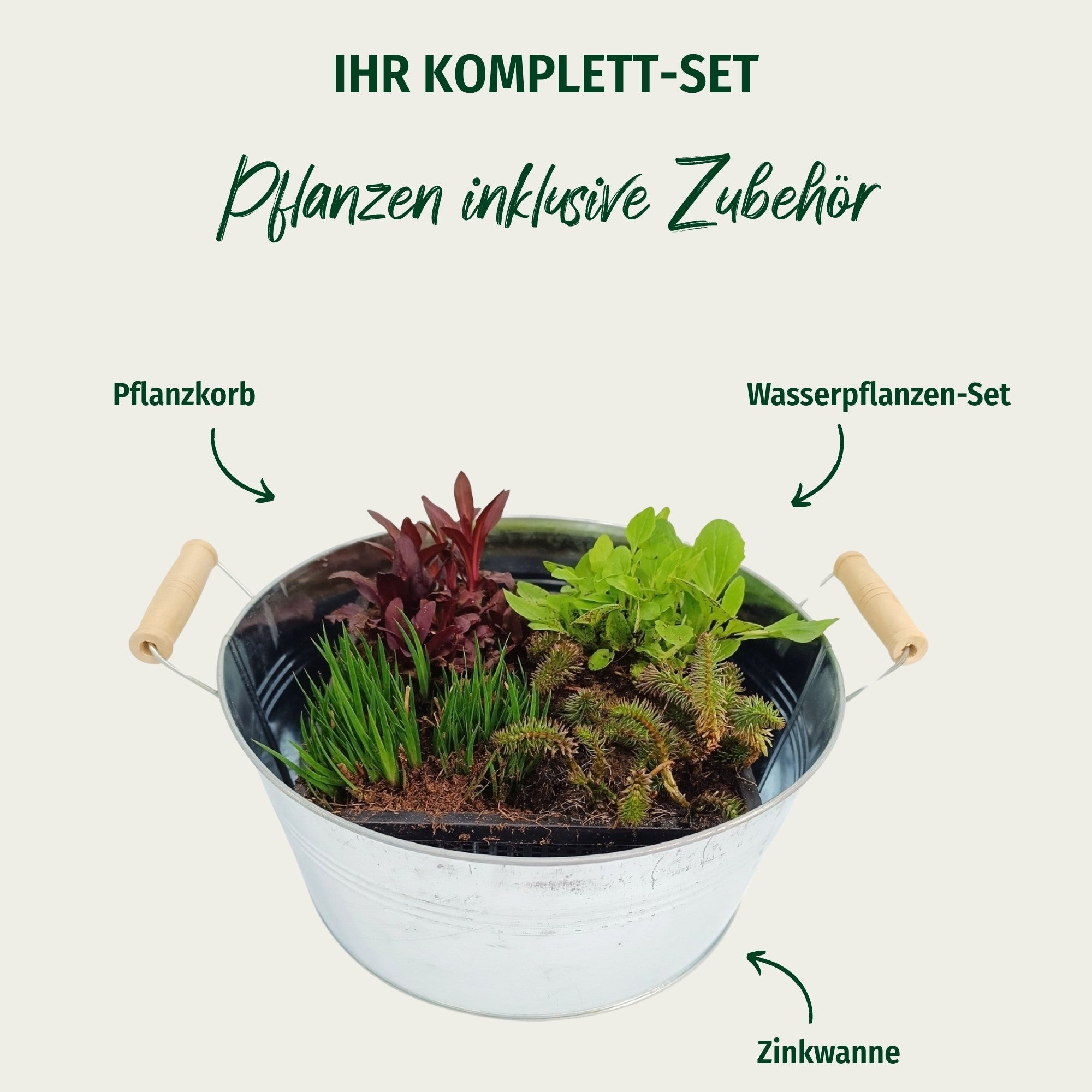 Miniteich mit Zinkwanne "Starter Set"