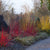 Pflanzen-Set "Farbenspiel im Winter"
