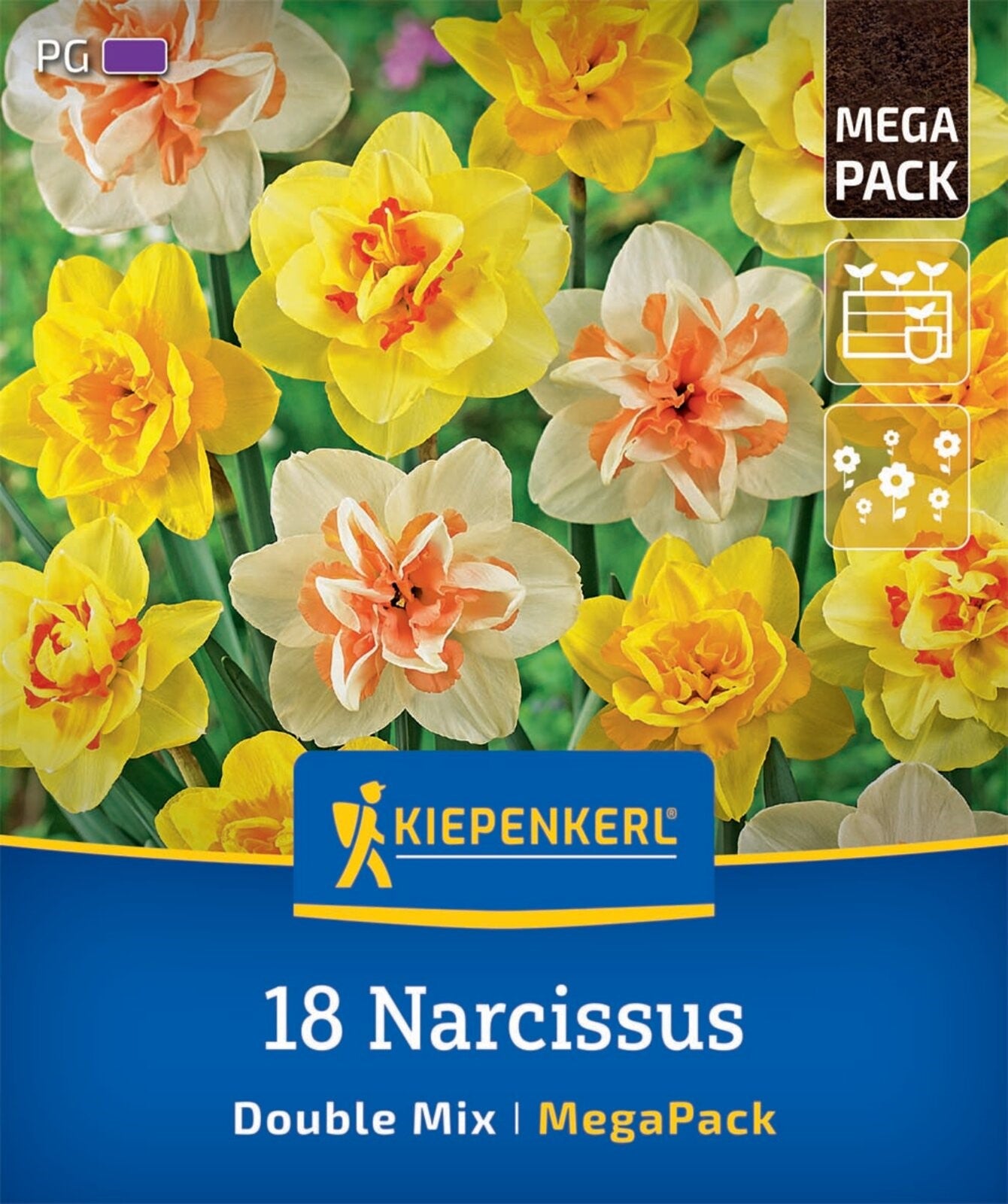 Kiepenkerl Narzissen "Gefüllte Mischung", Mega-Pack