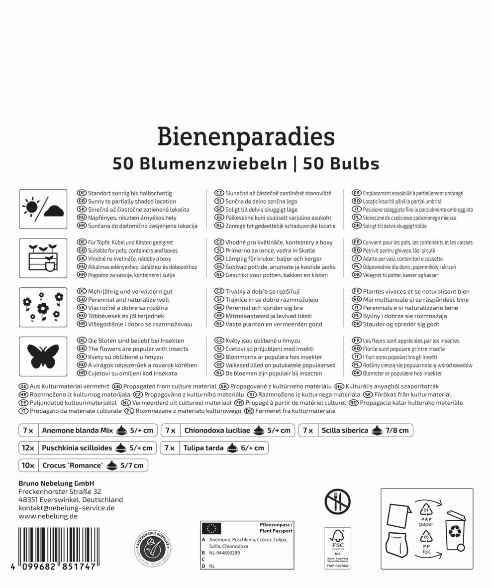 Kiepenkerl Blumenzwiebelmischung "Bienenparadies", Mega-Pack
