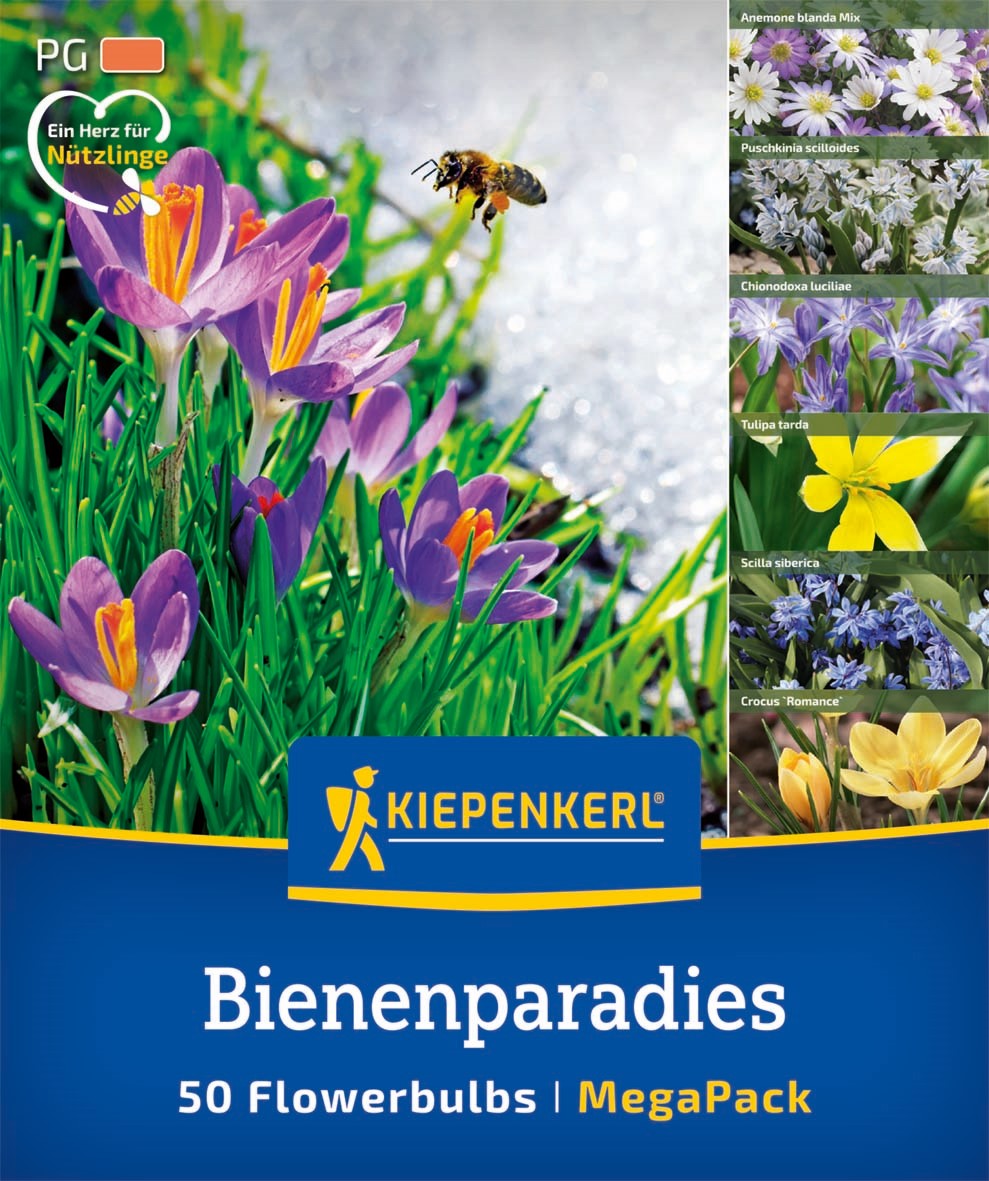 Kiepenkerl Blumenzwiebelmischung "Bienenparadies", Mega-Pack