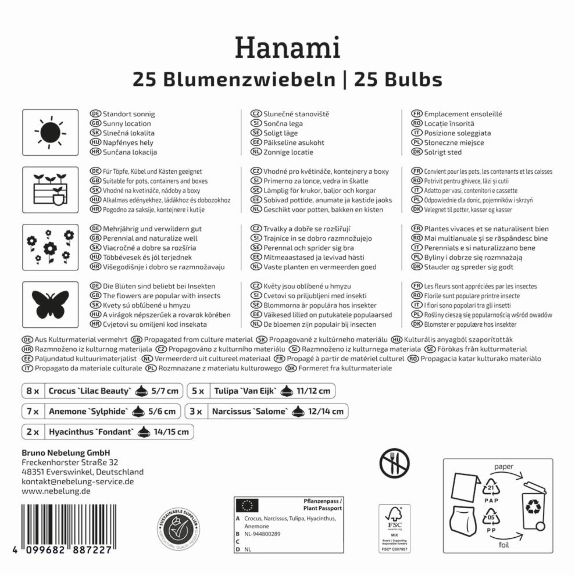 Kiepenkerl 'Hanami', Mega-Pack