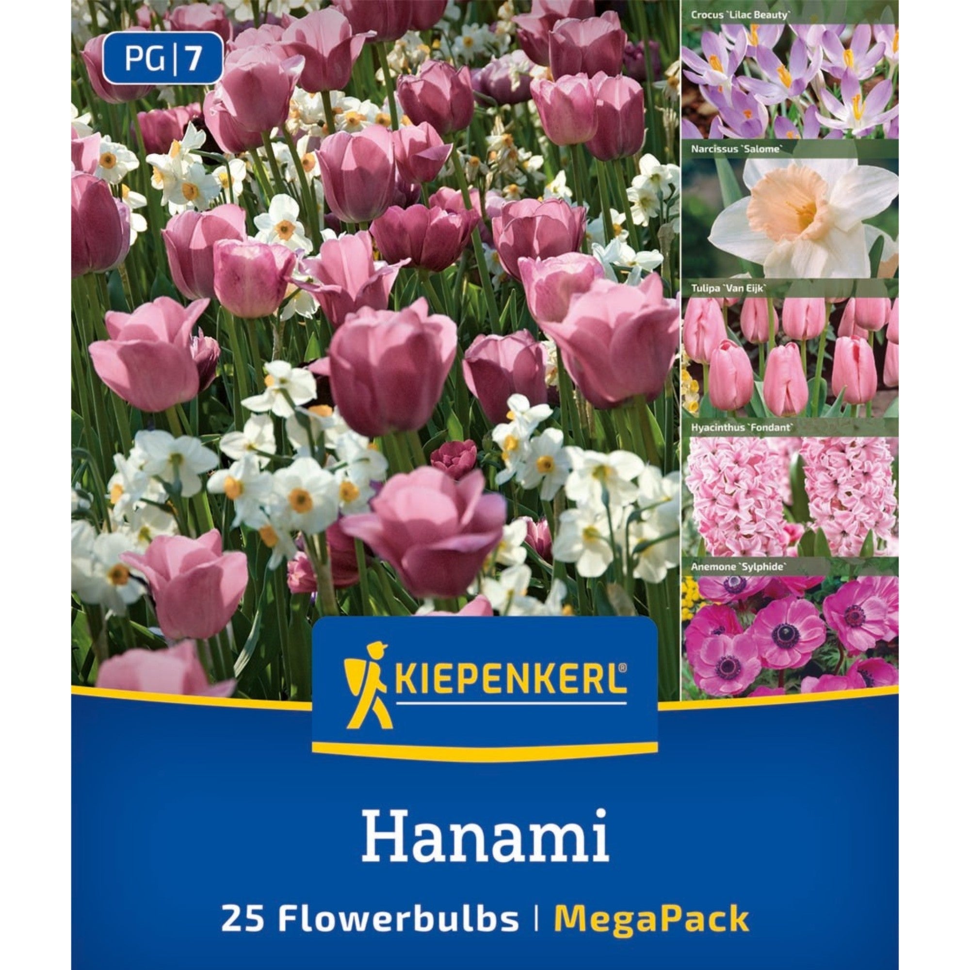 Kiepenkerl 'Hanami', Mega-Pack